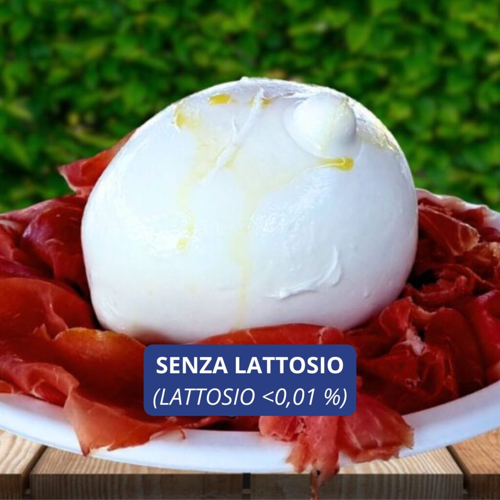 Zizzona SENZA LATTOSIO con Crudo