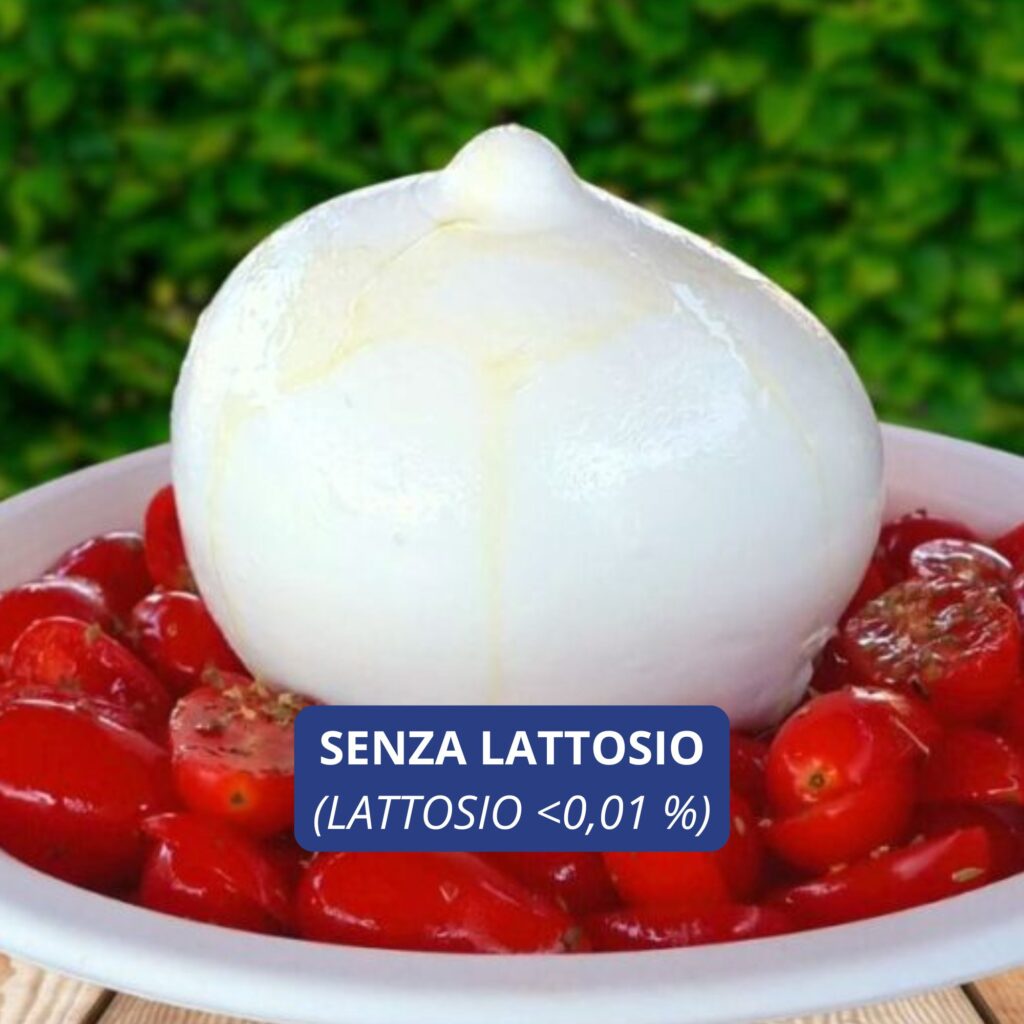 Zizzona SENZA LATTOSIO con Pomodori